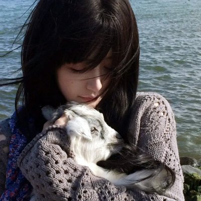 春川作家 海报
