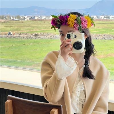 半岛谜案 海报